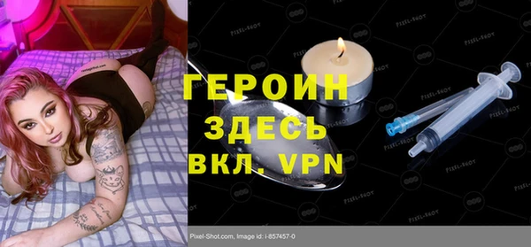 хмурый Арсеньев