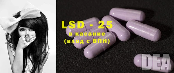хмурый Арсеньев