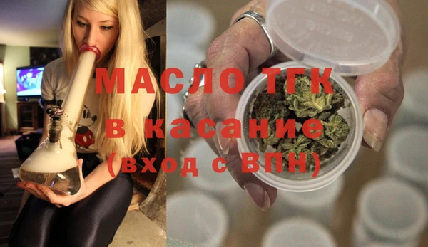 хмурый Арсеньев