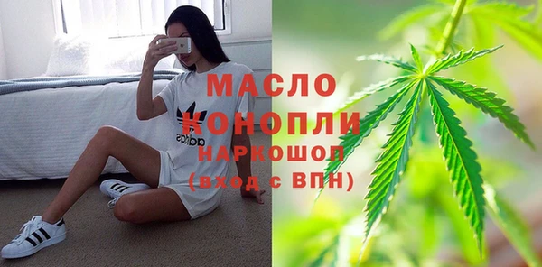 хмурый Арсеньев
