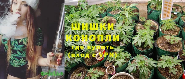 хмурый Арсеньев