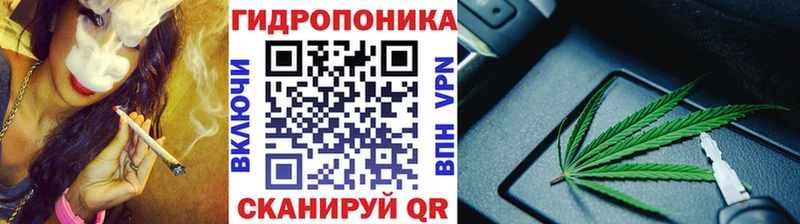 Конопля Bruce Banner  Старая Купавна 